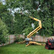 Best Leaf Removal  in Galesville, WI